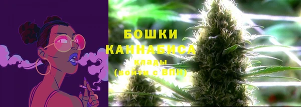 прущие грибы Абдулино