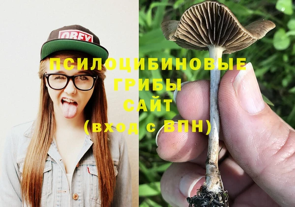 прущие грибы Абдулино
