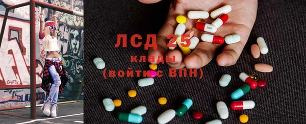 прущие грибы Абдулино