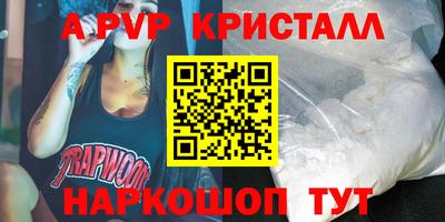 гашик Будённовск