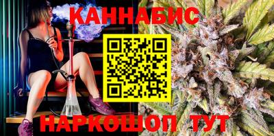 гашик Будённовск