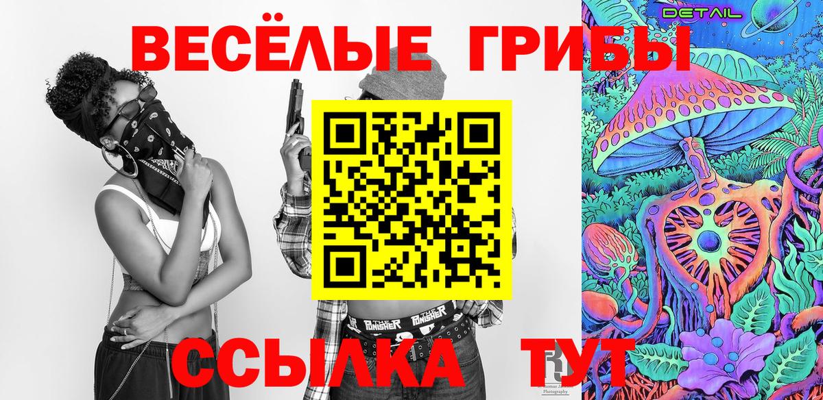 Грозный  Псилоцибиновые грибы мухоморы  Вход с VPN  Галлюциногенные грибы мицелий 