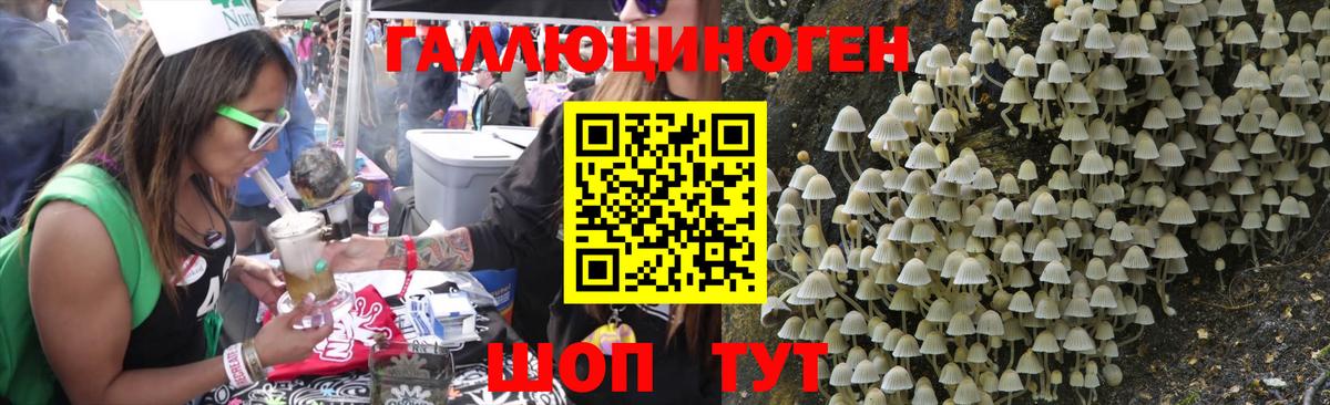 Галлюциногенные грибы мухоморы Грозный